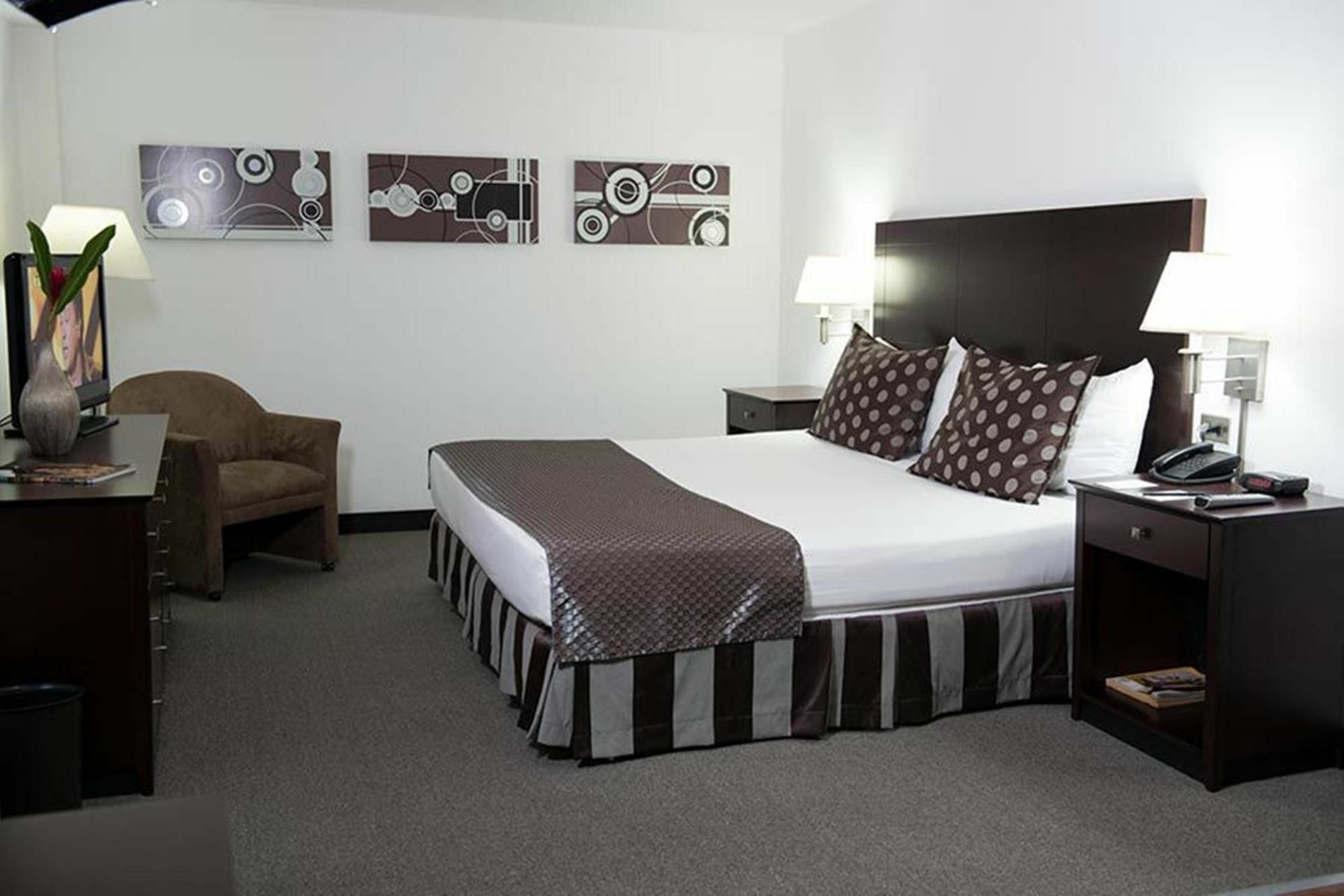 Guaparo Suites 巴伦西亚 外观 照片